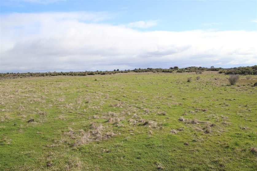 Click to view all images . Cockerills Road Dreeite VIC 3249 - Image 2