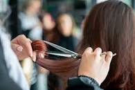 Franchise Business  in North Shore - Lower NSW - Image 1