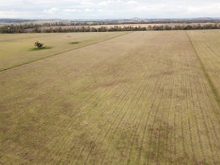 'Black Hills' 27R Strathmore Road Benolong NSW 2818 - Image 3