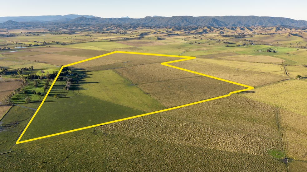 90 O'Connors Road Fairy Hill NSW 2470 - Image 1