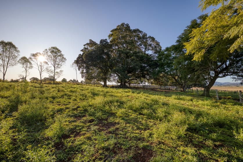 90 O'Connors Road Fairy Hill NSW 2470 - Image 3