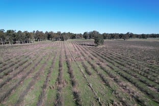 8 Cunningham Road Wilga WA 6243 - Image 2