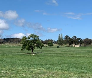 1170 Euradux Road Braidwood NSW 2622 - Image 2