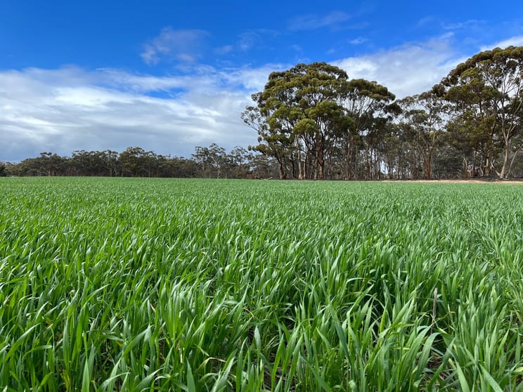 Click to view all images . 'Wells" Dangin North Road Quairading WA 6383 - Image 1