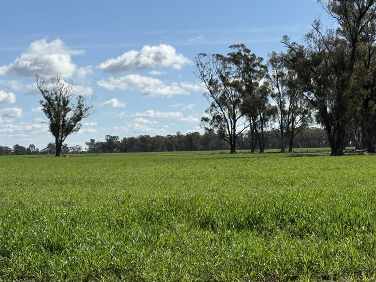 Click to view all images 987 Boorr Hills Road Parkes NSW 2870 - Image 2