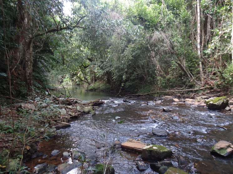 391 Utchee Creek Road Utchee Creek QLD 4871 - Image 1