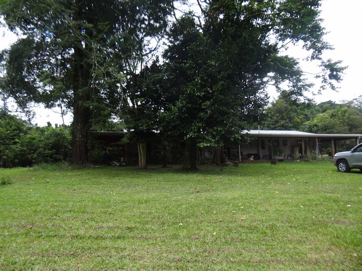 391 Utchee Creek Road Utchee Creek QLD 4871 - Image 3