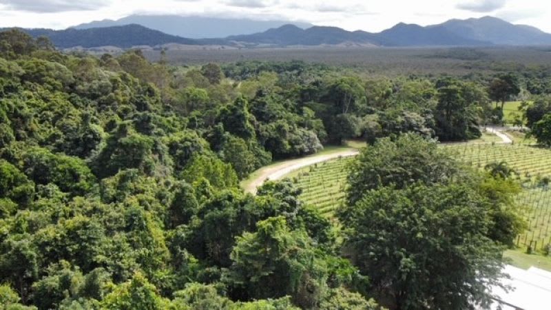Click to view all images 1496 Bramston Beach Road Bramston Beach QLD 4871 - Image 3