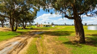 295 Collendina Road Corowa NSW 2646 - Image 2