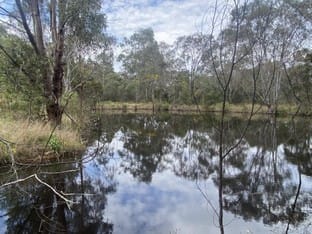 3220 Wybong Road Hollydeen NSW 2328 - Image 3