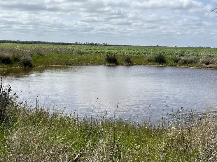 Click to view all images Dowerin WA 6461 - Image 2