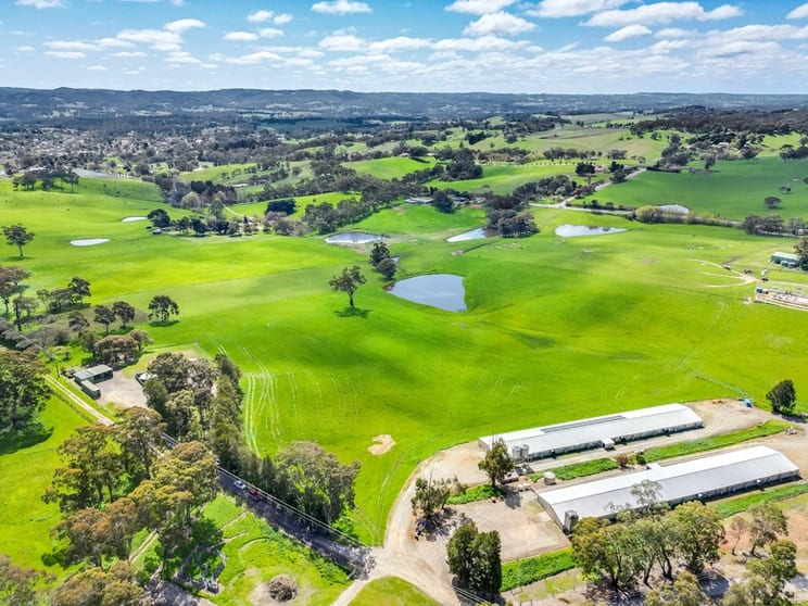 Click to view all images Crop Harvesting business for sale in Hahndorf - Image 1