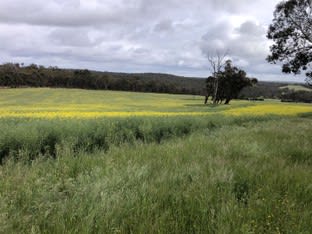 . " Snowdon" Pretty Gully Road Chowerup WA 6244 - Image 2
