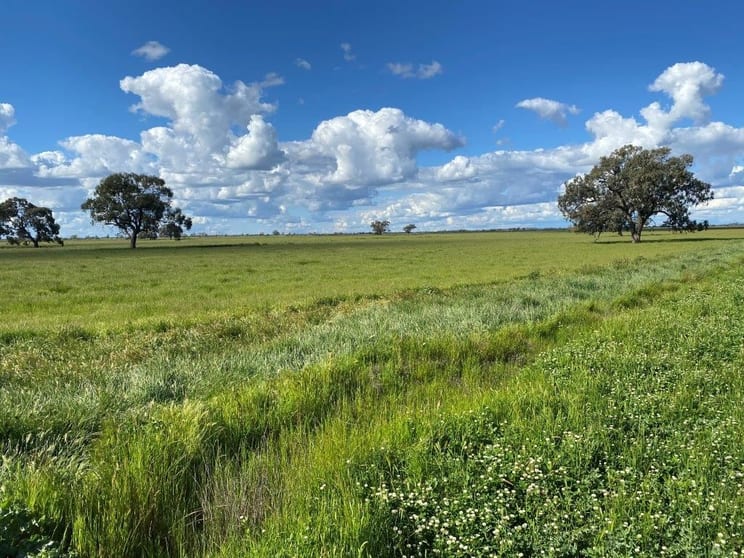 Click to view all images 00 Peacock Road Kerang VIC 3579 - Image 1
