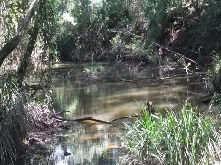 Click to view all images 159 Hunters Road Ewingar NSW 2469 - Image 3