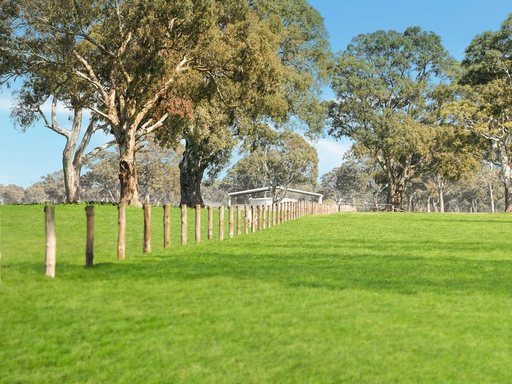 813 Yarramyljup Road Rocklands VIC 3401 - Image 1