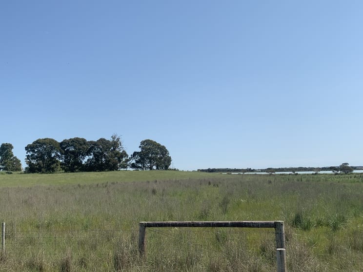 Click to view all images LOT 1141 Lucindale Road Naracoorte SA 5271 - Image 1
