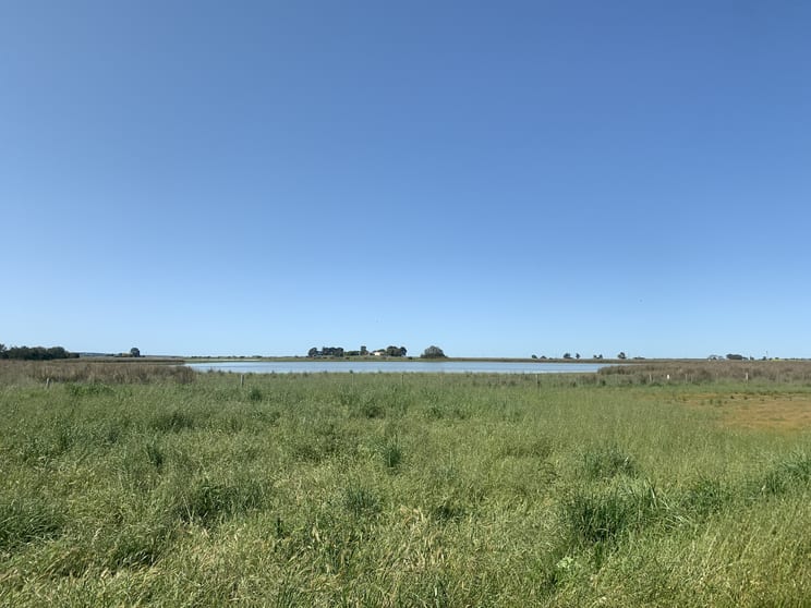 Click to view all images LOT 1141 Lucindale Road Naracoorte SA 5271 - Image 3