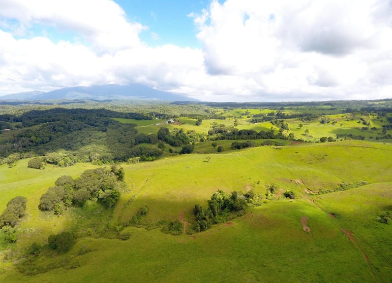 Click to view all images 343 Gadaloff Road Butchers Creek QLD 4885 - Image 3