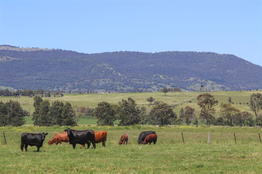 192 Yarrandi Road Scone NSW 2337 - Image 1