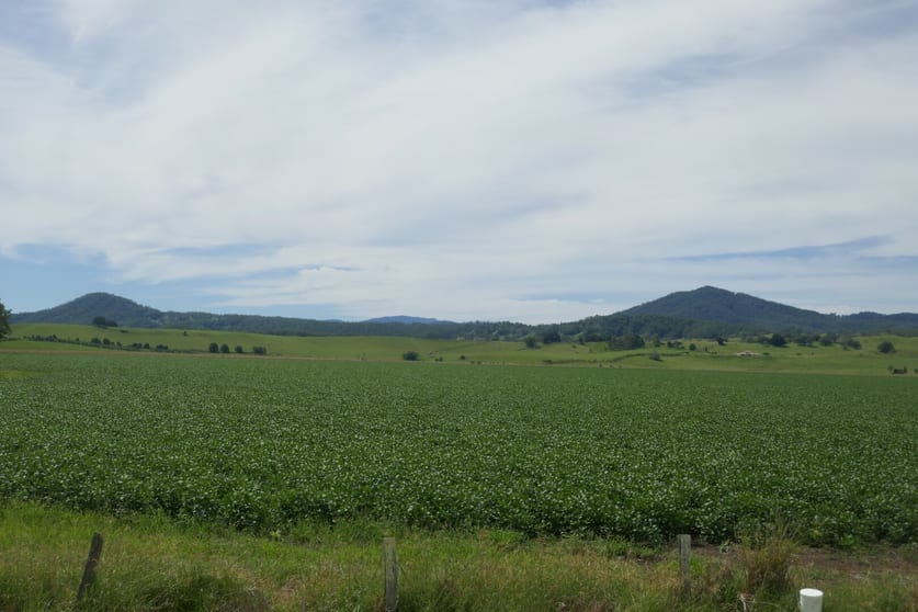 Lot 2 Hillyard's Road Kyogle NSW 2474 - Image 2