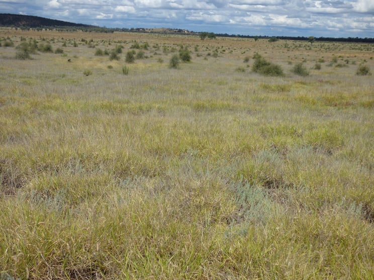 Via Middle Creek Road Charleville QLD 4470 - Image 3