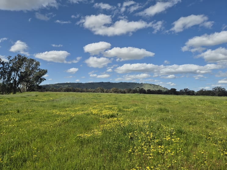 393 Mansfield Road Euroa VIC 3666 - Image 1