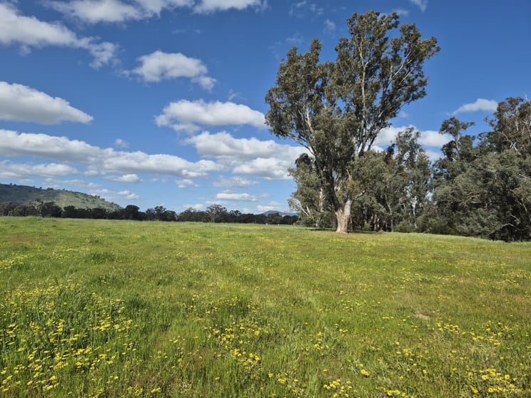 393 Mansfield Road Euroa VIC 3666 - Image 3