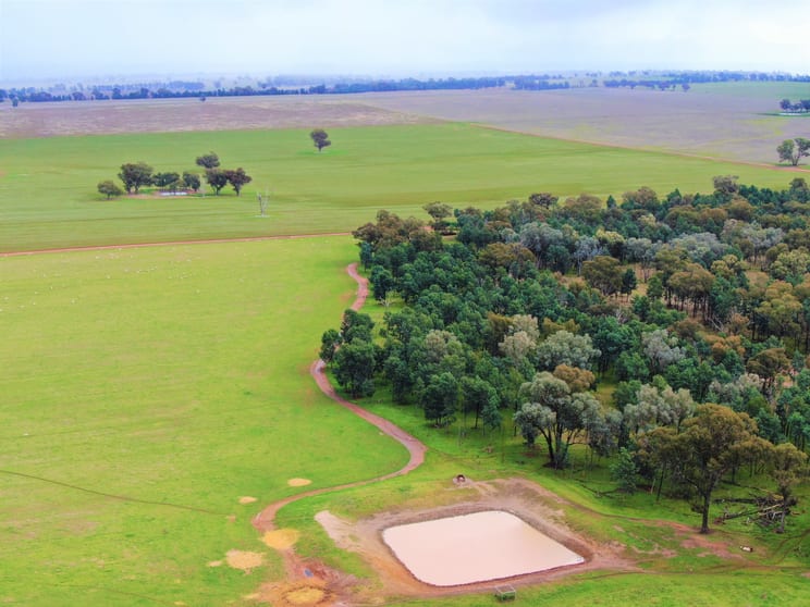 2648 Old Narrandera Road Currawarna NSW 2650 - Image 3