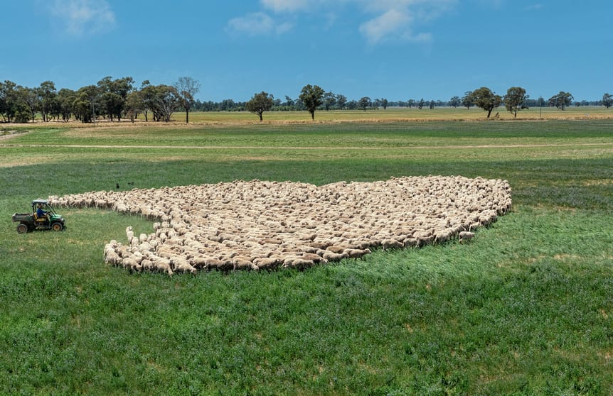 'Green Park Aggregation'/1714 Bynedale Road Rand NSW 2642 - Image 2