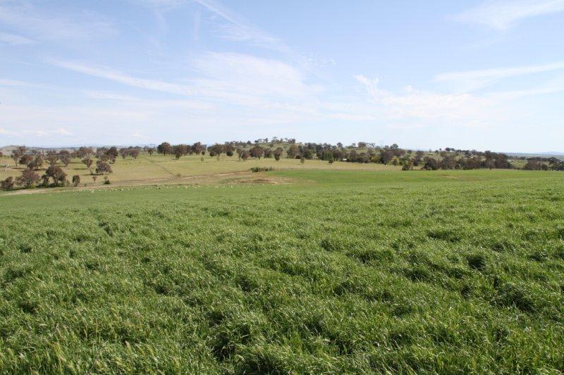 Click to view all images 3/83 Yass Valley Way Manton NSW 2582 - Image 1