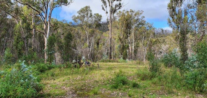 Click to view all images Lot 119 Orchard Lane Rocky Hall NSW 2550 - Image 3