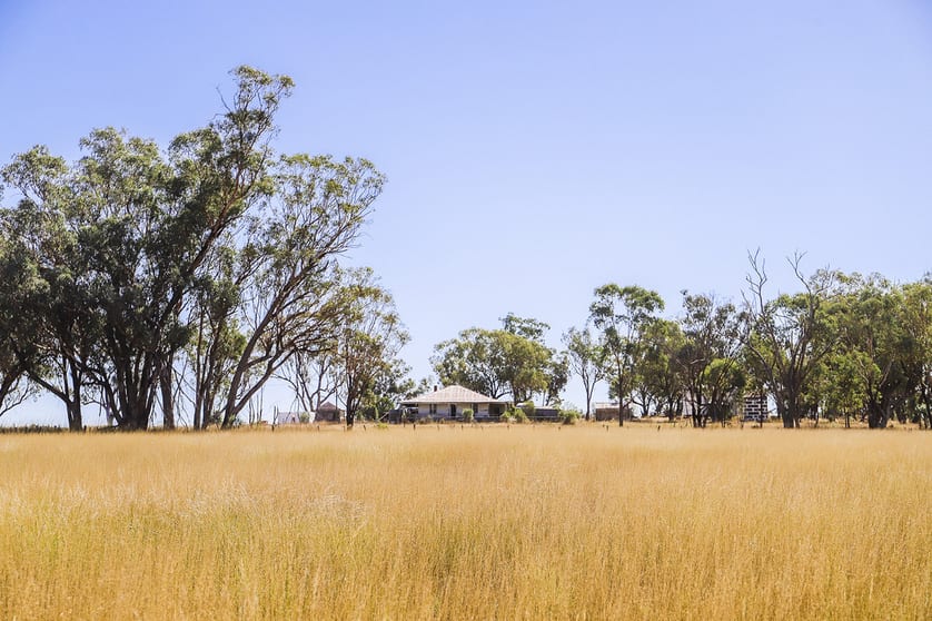 Click to view all images 142 Sawpit Creek Road Gunnedah NSW 2380 - Image 2