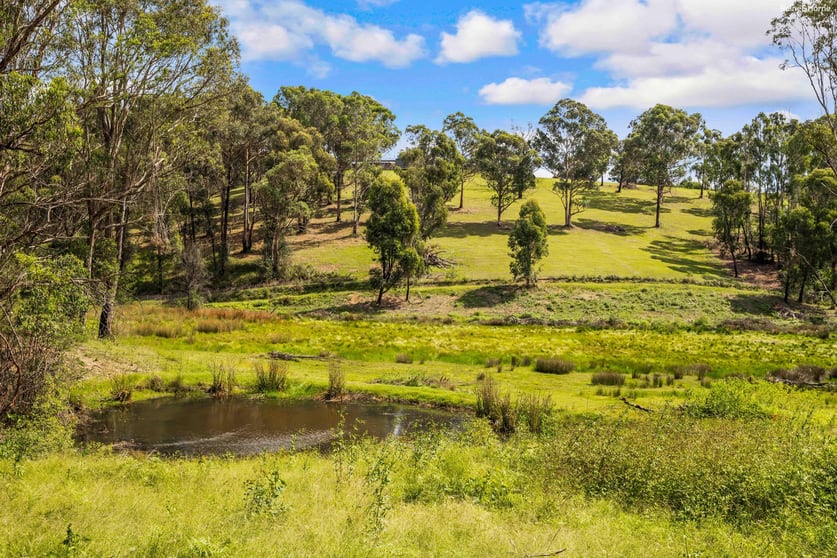 Click to view all images 1033 Kings Highway Nelligen NSW 2536 - Image 2