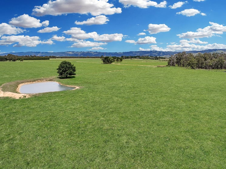 199 Orchard Road Yarragon VIC 3823 - Image 2