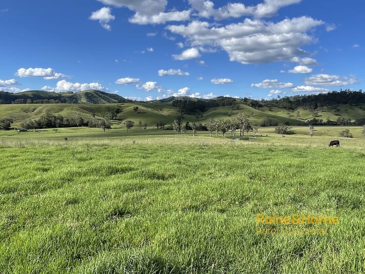 Click to view all images 732 Bucketts Way East Gloucester NSW 2422 - Image 1