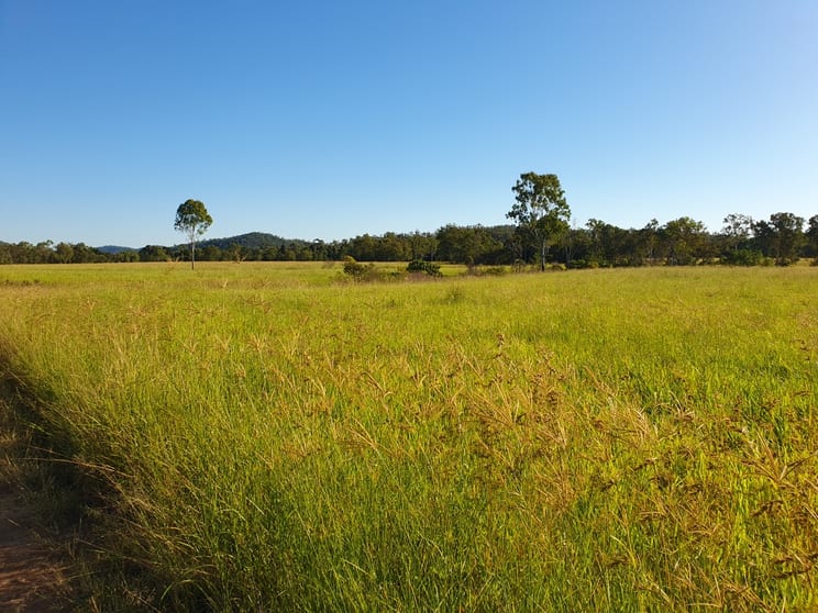 Click to view all images Buthurra Station Road Mount Ossa QLD 4741 - Image 1
