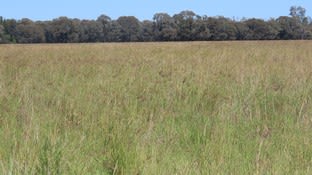 Goondiwindi QLD 4390 - Image 2
