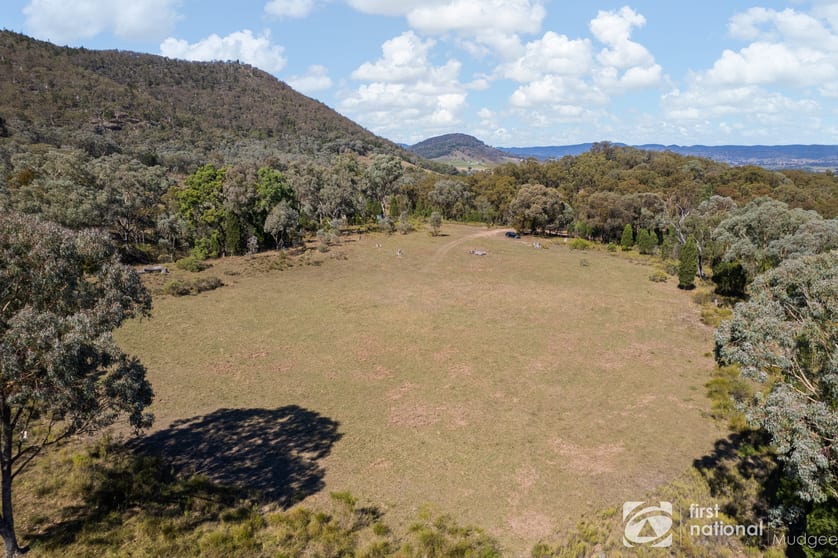Lot 164 Mount Pleasant Lane Mudgee NSW 2850 - Image 1