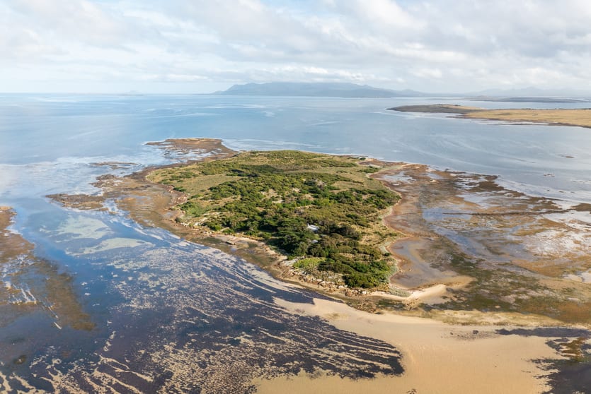 . Puncheon Island Lady Barron TAS 7255 - Image 3