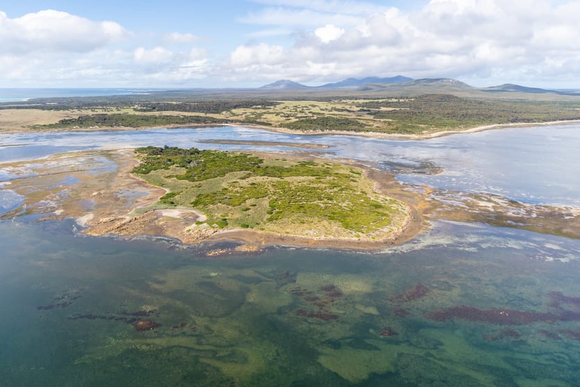 . Puncheon Island Lady Barron TAS 7255 - Image 1