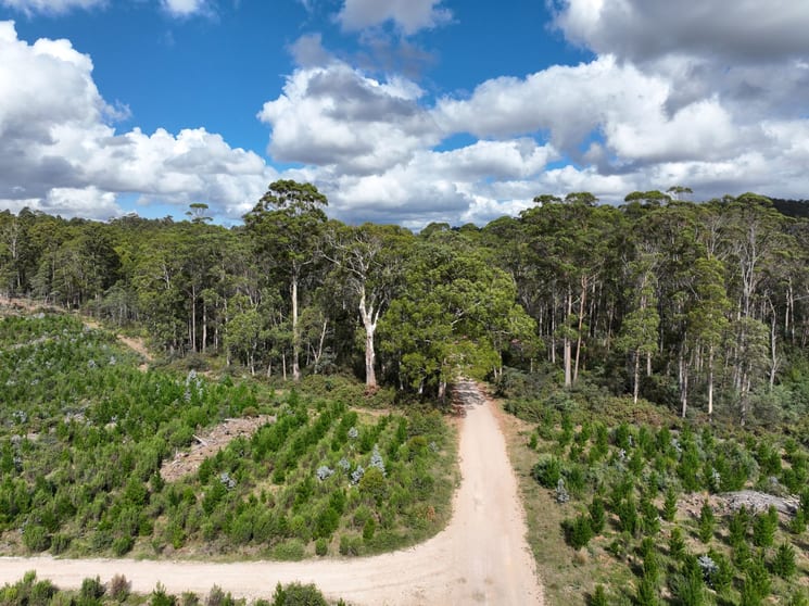 Click to view all images Lot 12 &13 Porters Bridge Road Exton TAS 7303 - Image 1