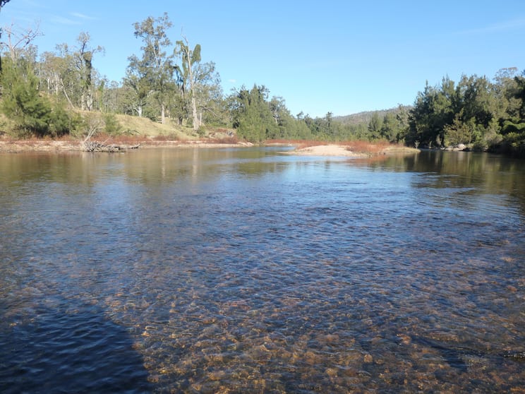 31/2058 Rocky River Road Rocky River NSW 2372 - Image 2