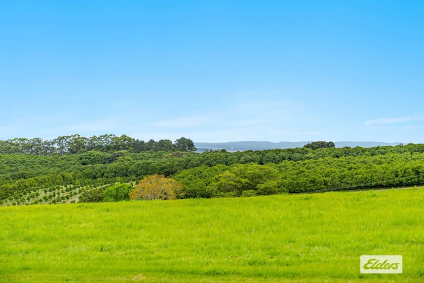 Lot 2, 789 Tregeagle Road Tregeagle NSW 2480 - Image 3