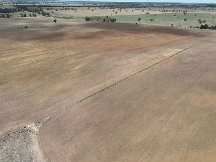 Click to view all images 'Weemala' 2075 The McGrane Way Tullamore NSW 2874 - Image 3