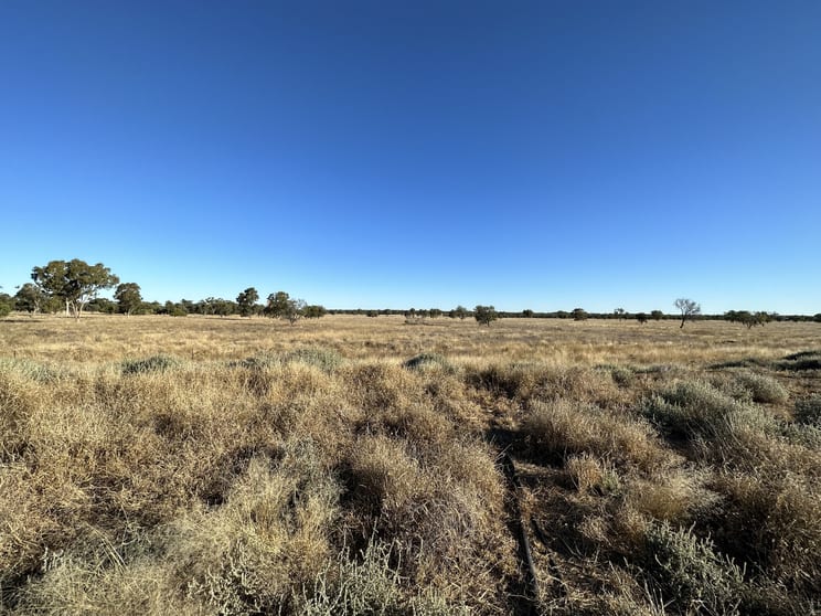 Click to view all images 0 Warrego Highway Morven QLD 4468 - Image 3