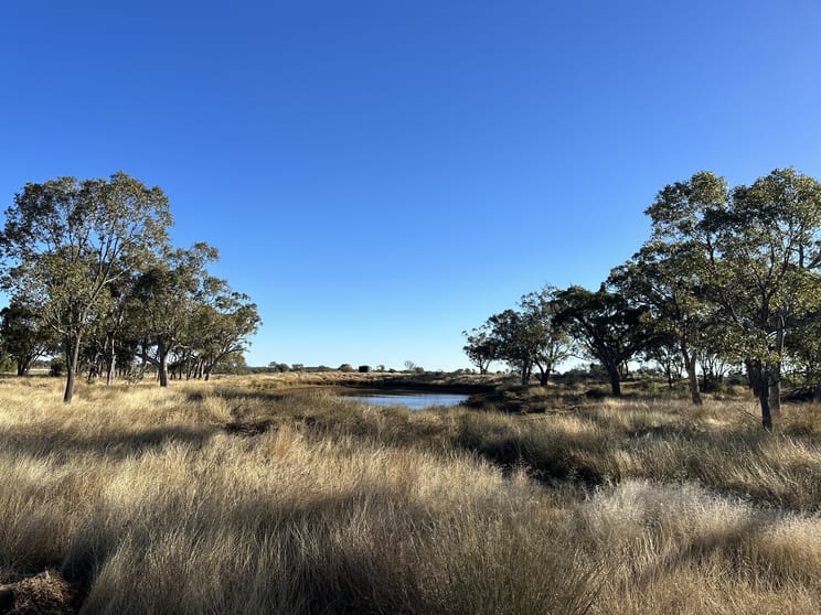 Click to view all images 0 Warrego Highway Morven QLD 4468 - Image 2