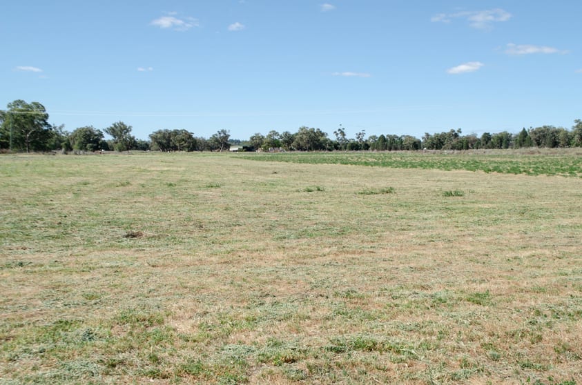Click to view all images Geurie NSW 2818 - Image 2