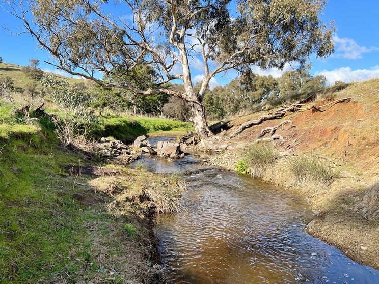Click to view all images 2177 Murringo Road Murringo NSW 2586 - Image 2