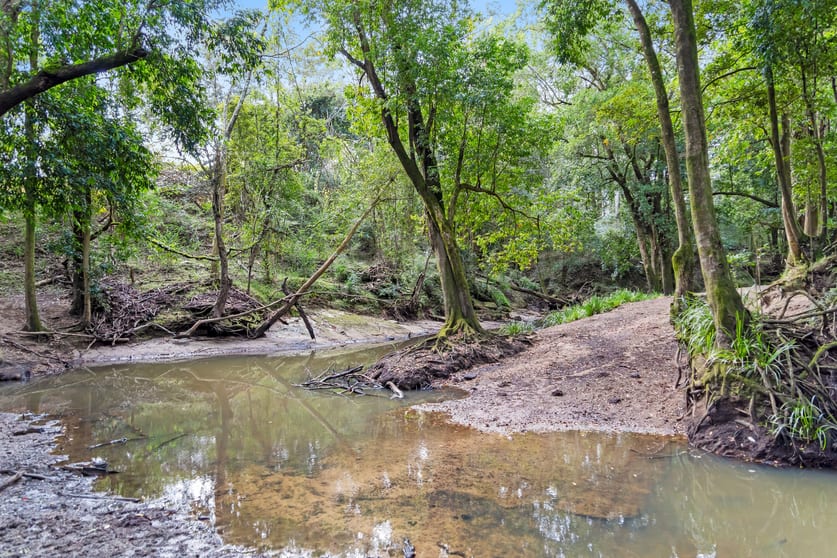 Click to view all images 345 Markwell Back Road Bulahdelah NSW 2423 - Image 3